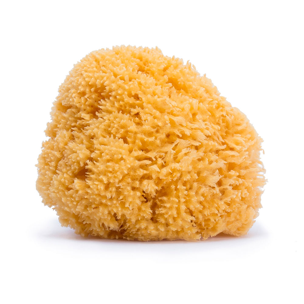 s Product Image